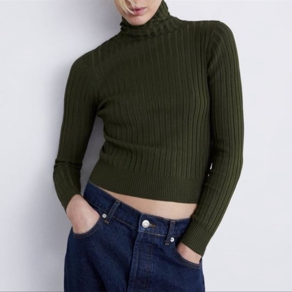 Zara Turtleneck Sweater